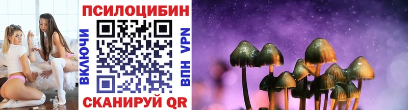 купить закладку  Сосновоборск  Галлюциногенные грибы прущие грибы 